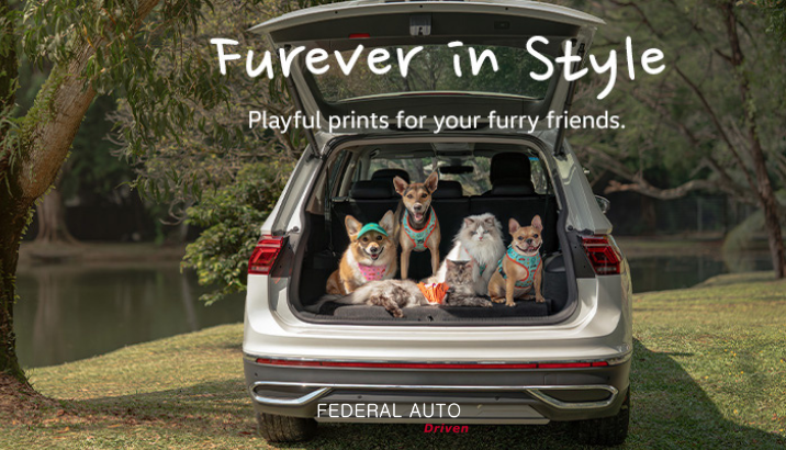 Furever in Style